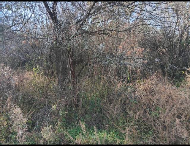 LAND FOR SALE IN VAALOEWER